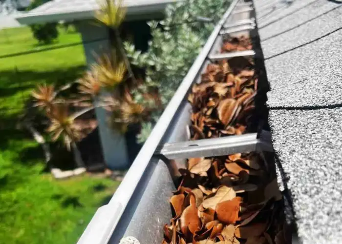Aynor gutter cleaning home page